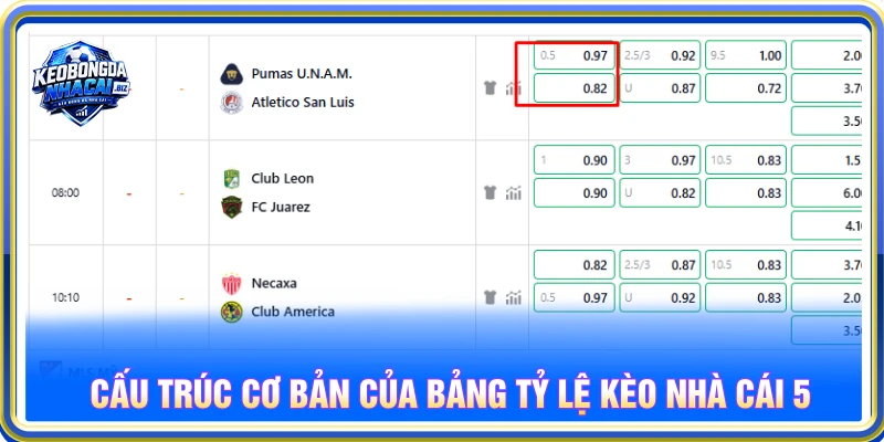 Cấu trúc cơ bản của bảng tỷ lệ Kèo Nhà Cái 5