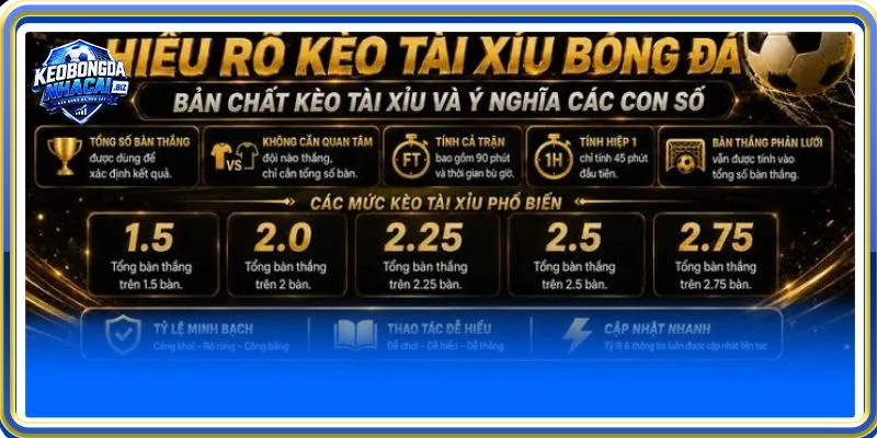 Kèo Tài Xỉu tại Kèo Bóng Đá Nhà Cái rất ăn khách