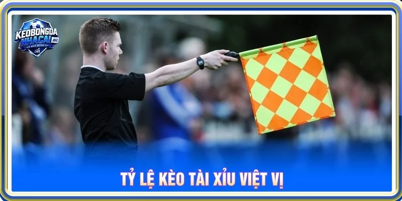 Tỷ Lệ Kèo Tài Xỉu Việt Vị - Cách Đọc Mốc Cược Chuẩn